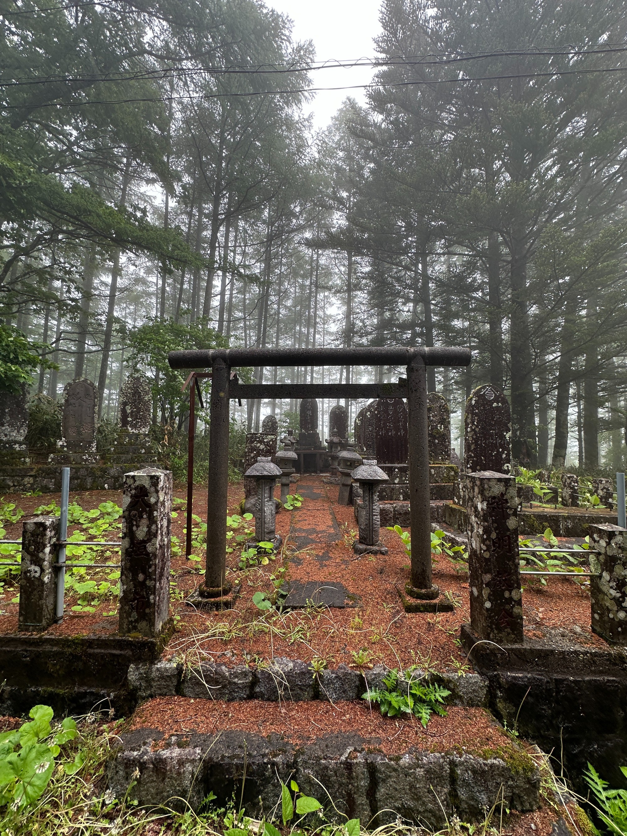 2_Onsen_Gastronomy__Kiso_in_Nagano_Ancient_Torii_Gate.jpg