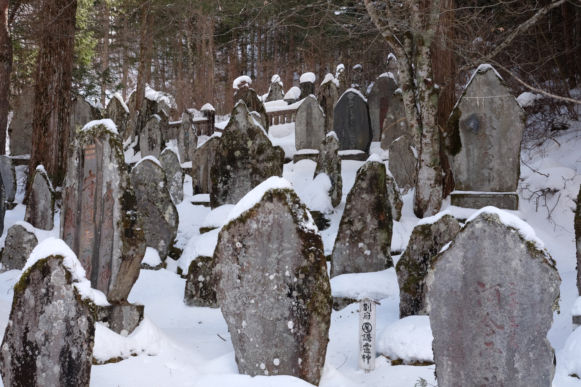 14_Onsen_Gastronomy__Kiso_in_Nagano_Ontake_Pilgrim_Stones_.jpg
